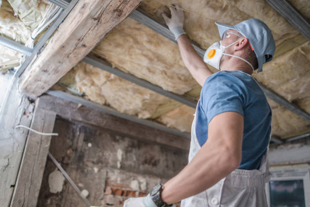 Best Spray Foam Insulation in Wren, AR